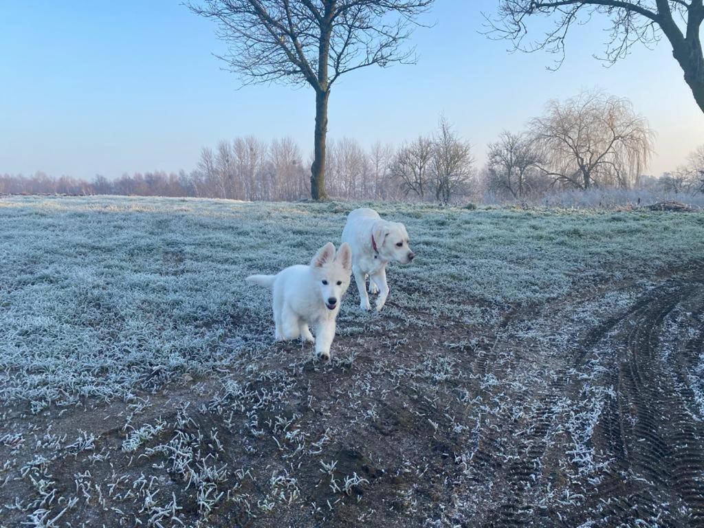 Dom Goscinny Lerka - 240 M2 Mazury Jeziora Lasy Lakorz Buitenkant foto