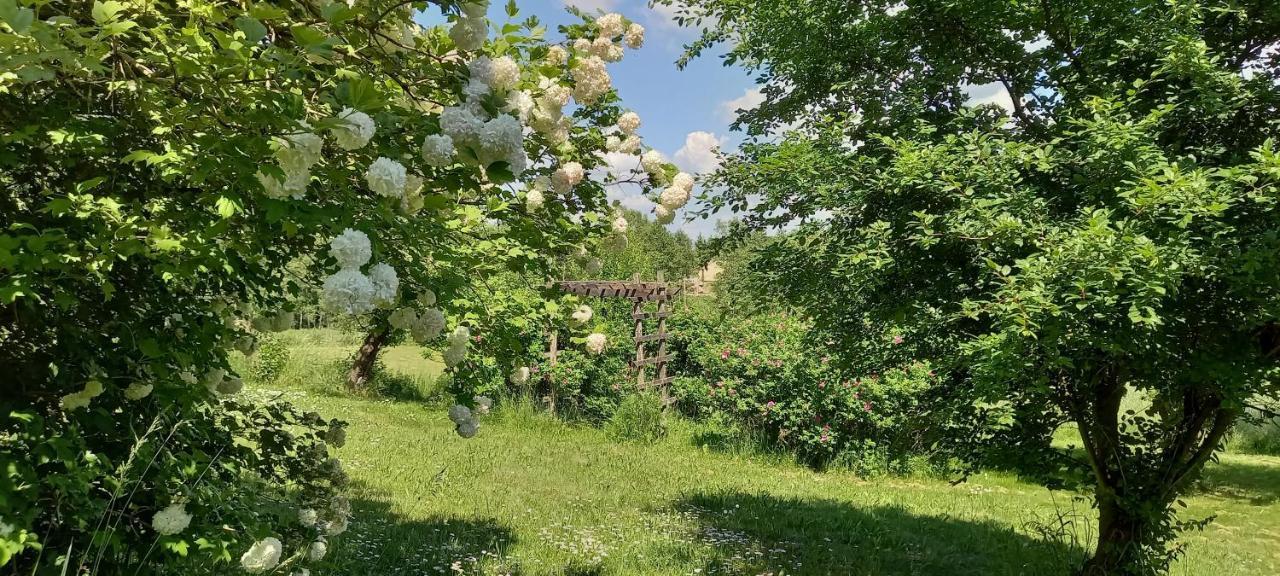 Dom Goscinny Lerka - 240 M2 Mazury Jeziora Lasy Lakorz Buitenkant foto