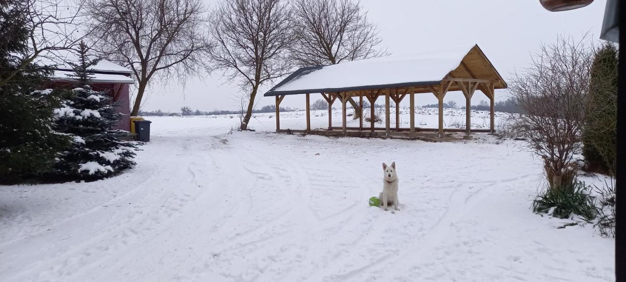 Dom Goscinny Lerka - 240 M2 Mazury Jeziora Lasy Lakorz Buitenkant foto