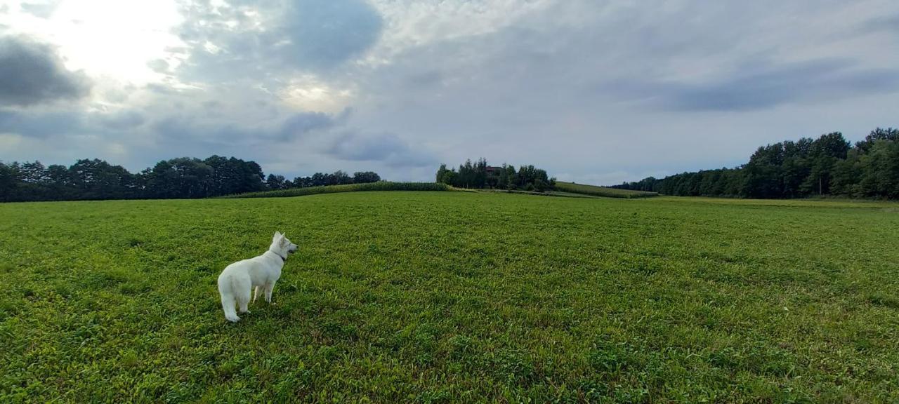 Dom Goscinny Lerka - 240 M2 Mazury Jeziora Lasy Lakorz Buitenkant foto