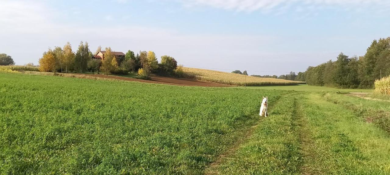 Dom Goscinny Lerka - 240 M2 Mazury Jeziora Lasy Lakorz Buitenkant foto