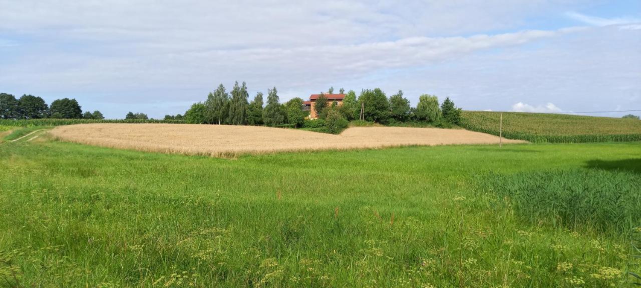 Dom Goscinny Lerka - 240 M2 Mazury Jeziora Lasy Lakorz Buitenkant foto