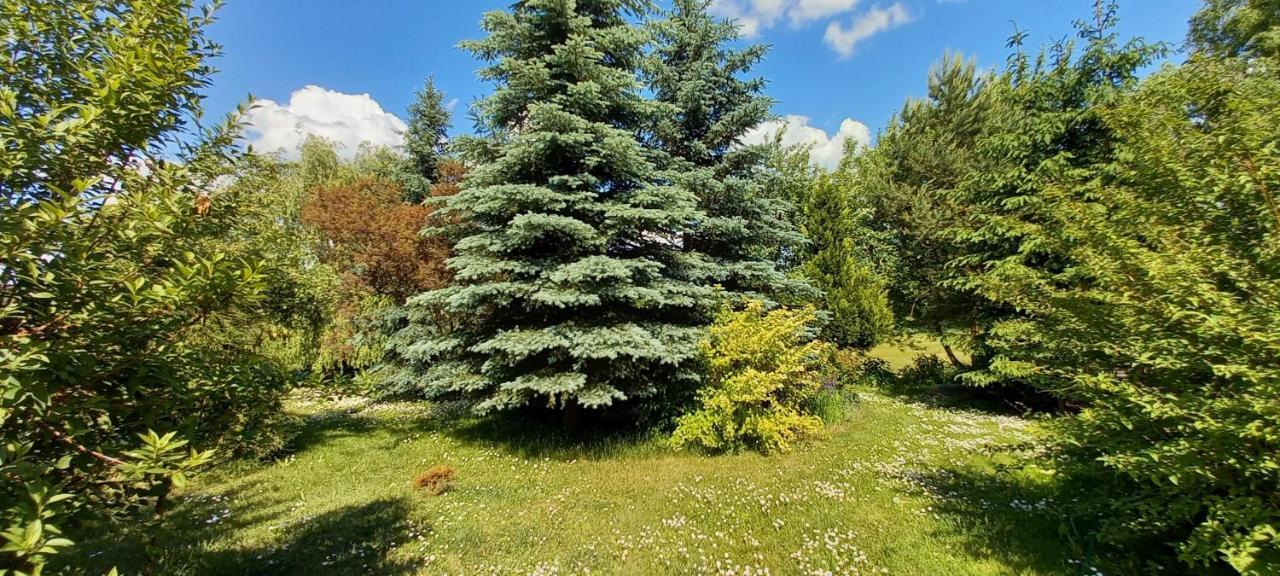 Dom Goscinny Lerka - 240 M2 Mazury Jeziora Lasy Lakorz Buitenkant foto