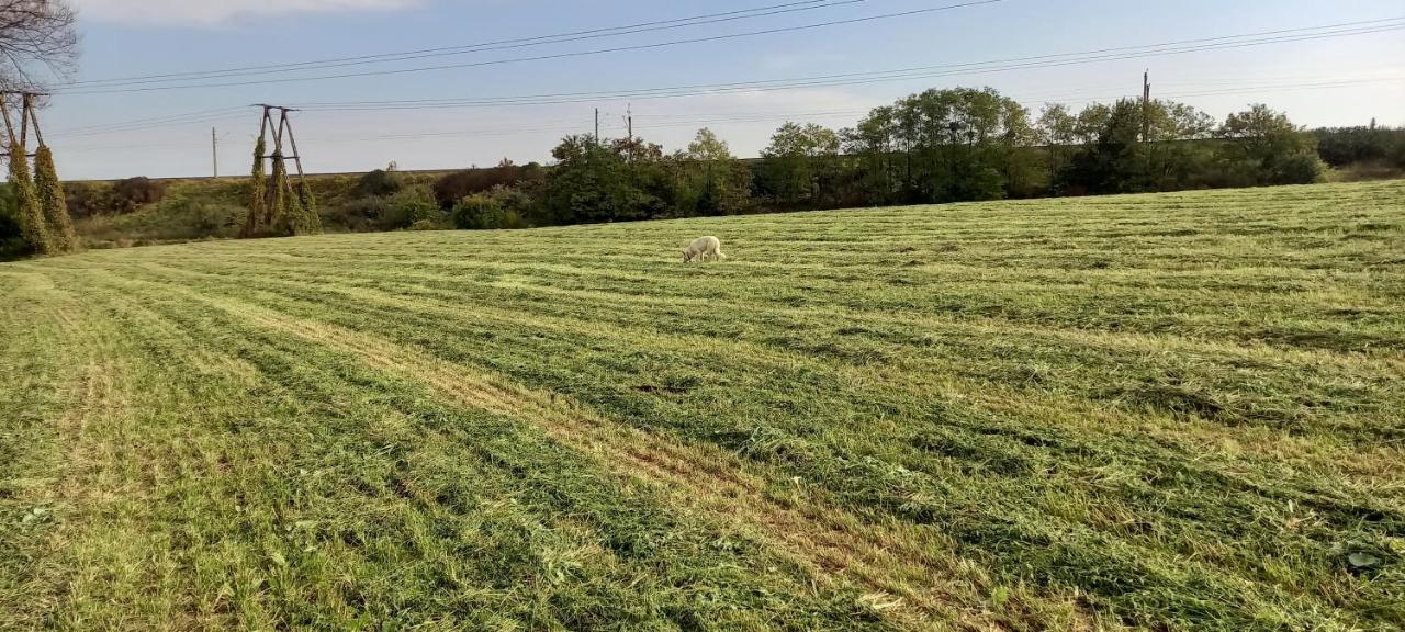 Dom Goscinny Lerka - 240 M2 Mazury Jeziora Lasy Lakorz Buitenkant foto
